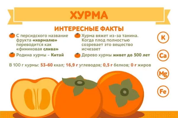 Хурма, интересные факты