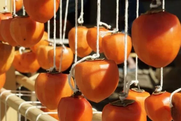 можно хранить в подвешенном виде