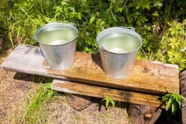 вода для полива хурмы