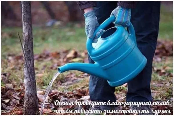 осенний влагозарядный полив