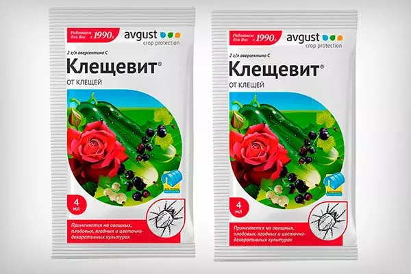 Клещевит Цефалоцереус старческий2