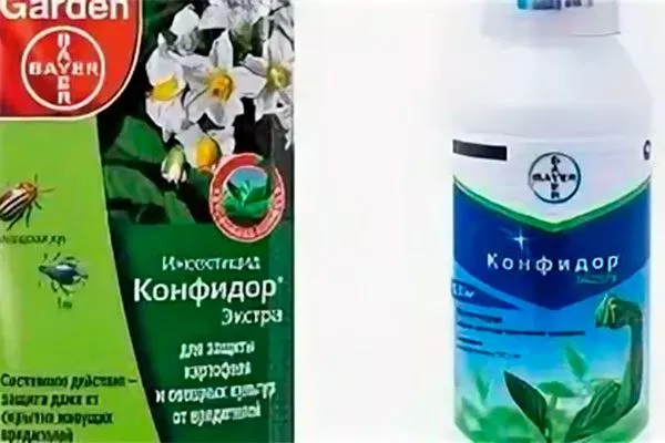 Конфидор Вредители кактусов11