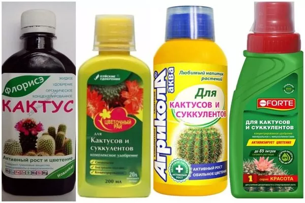 удобрения для маммилярии