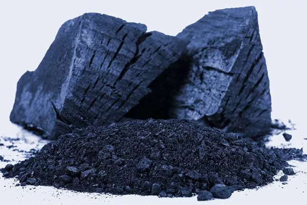 мел или древесный уголь для обработки мест срезов пересадка кактуса9