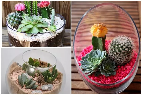 садик в стекле