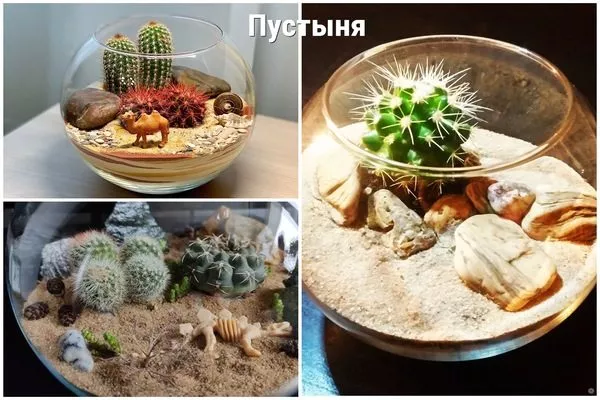 пустыня
