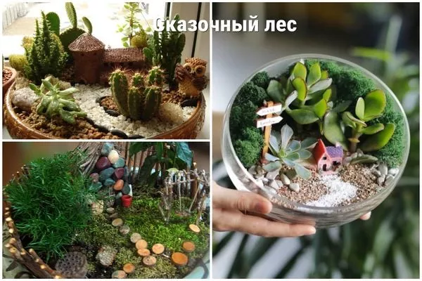 сказочный лес