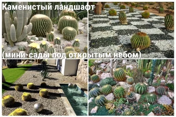 тематика- каменистый ландшафт