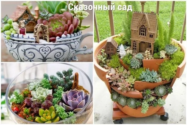 сказочный сад