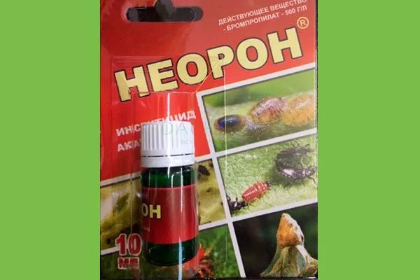 Неорон Вредители кактусов21