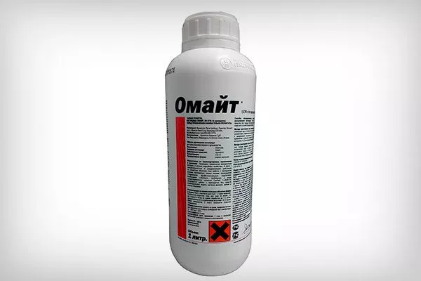 Омайт Вредители кактусов22