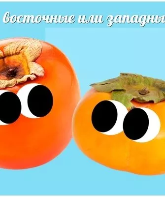восточные и западные разновидности хурмы