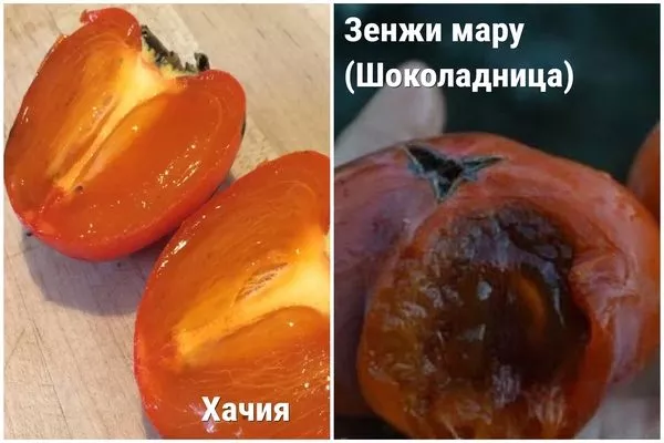 мякоть восточных сортов