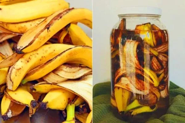 настой банановой кожуры для гибискуса