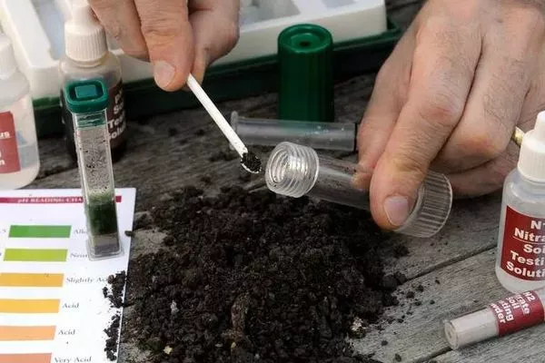 проверка кислотности почвы