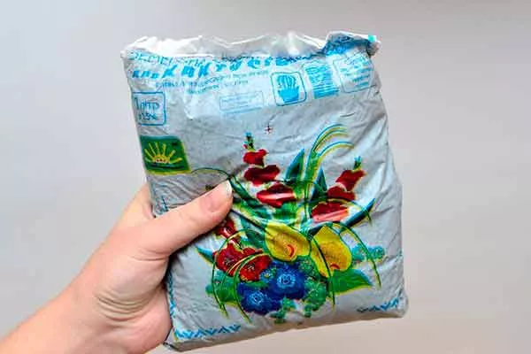 Почва черенкование кактусов21