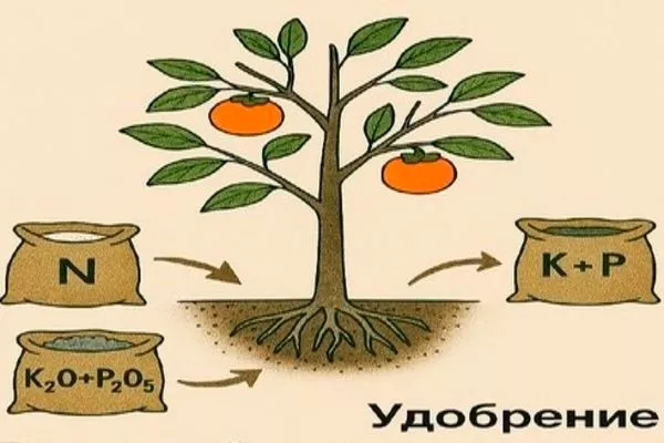 подкормка промышленный сад10