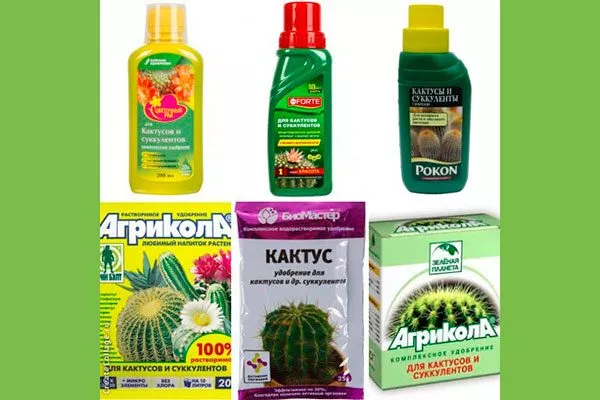 Полив и подкормки Звёздчатые кактусы (Astrophytum)17