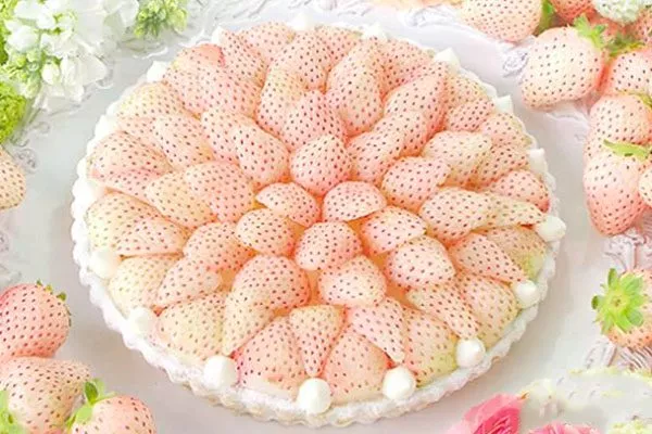 Применение белой земляники в рецептах Белая земляника19