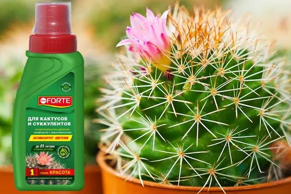 Придерживайтесь инструкции по использованию удобрения