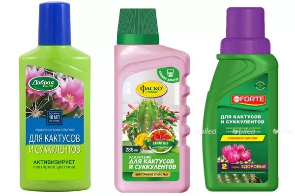 специализированные составы для кактусов