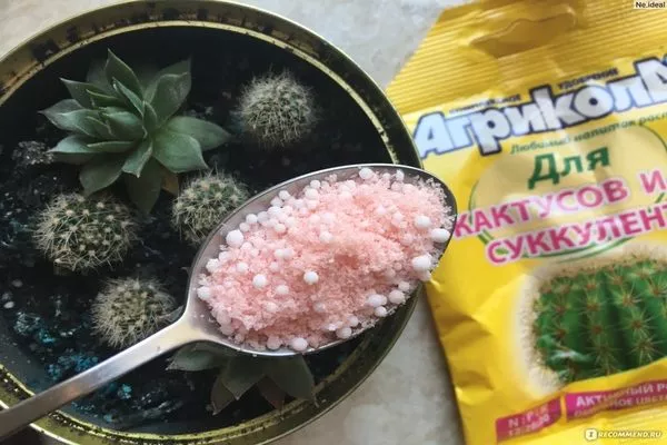 спецудобрение для кактусов в гранулах