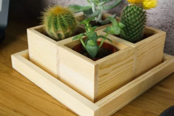 используйте ящик для кактусов