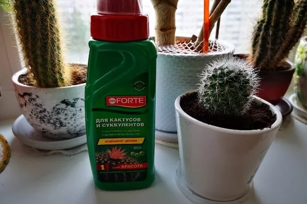 весной примените удобрение