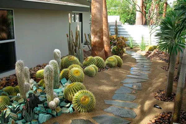 Садовые дорожки кактусы в ландшафтном дизайне22