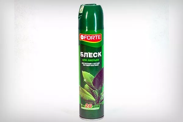 спец средства как помыть фикус10