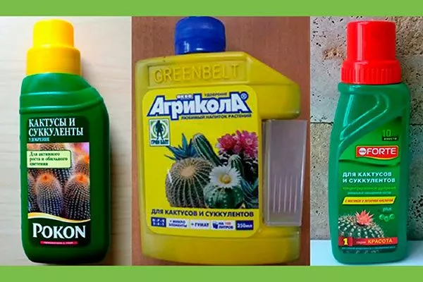 удобрения для кактусов и суккулентов Гимнокалициум (Gymnocalycium)40