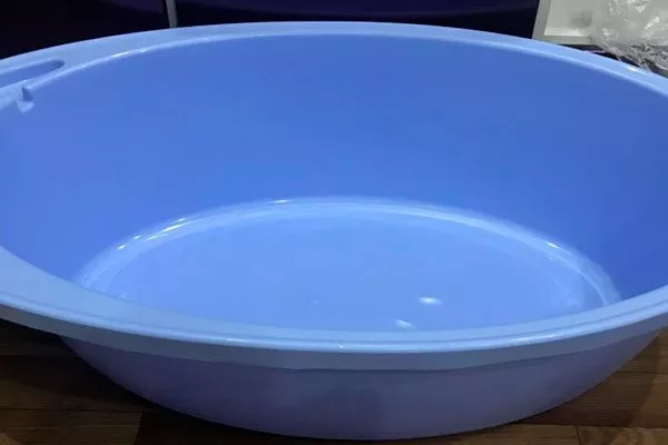 ванночка или тазик для крупных растений как помыть фикус2