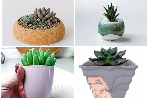 Формы горшков для кактусов