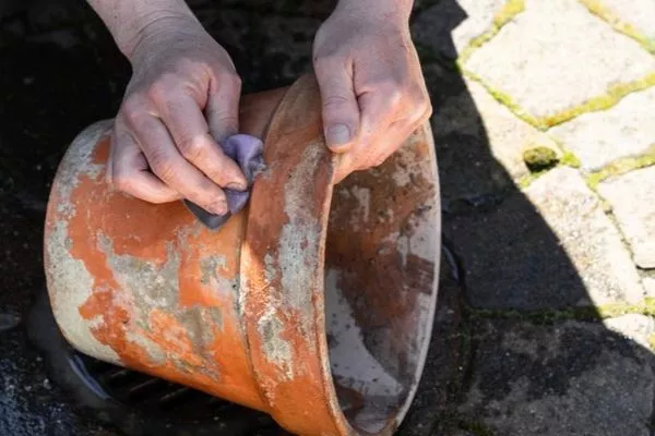 Дезинфекция горшка