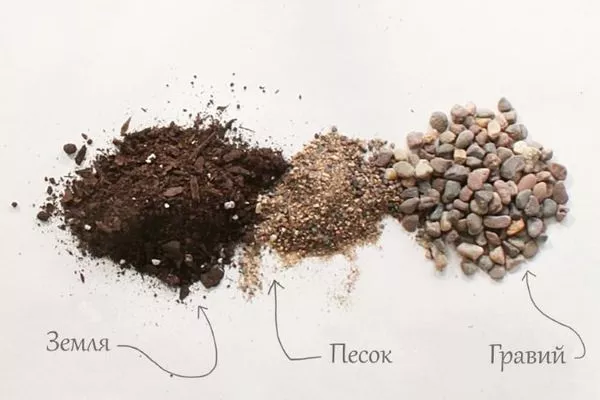 Один из вариантов грунта для кактусов