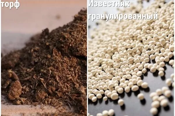 Торф и известняк