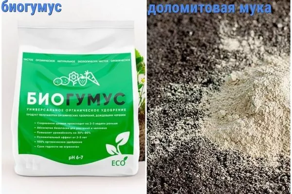 Дополнительно можно включить доломитовую муку и биогумус