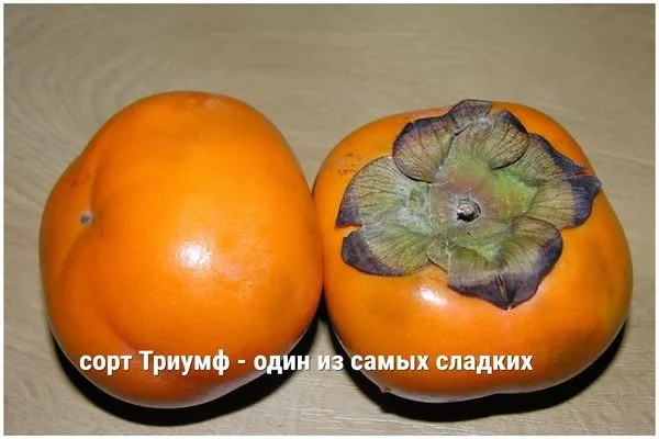 Сорт Триумф