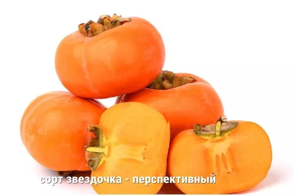 сорт Звездочка