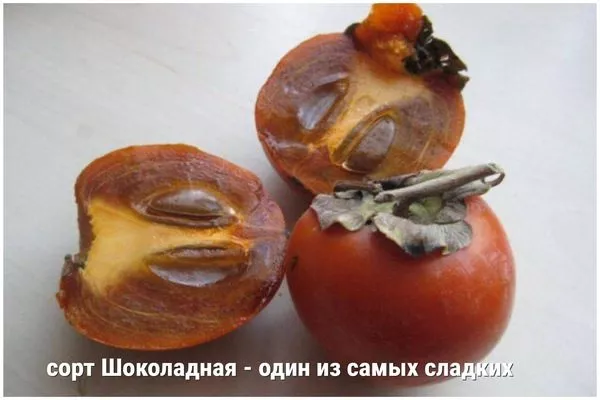 хурма Шоколадная