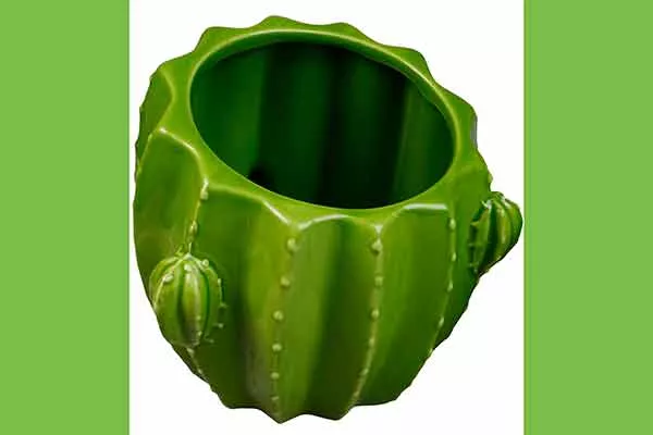 Ёмкость для посадки черенкование кактусов1