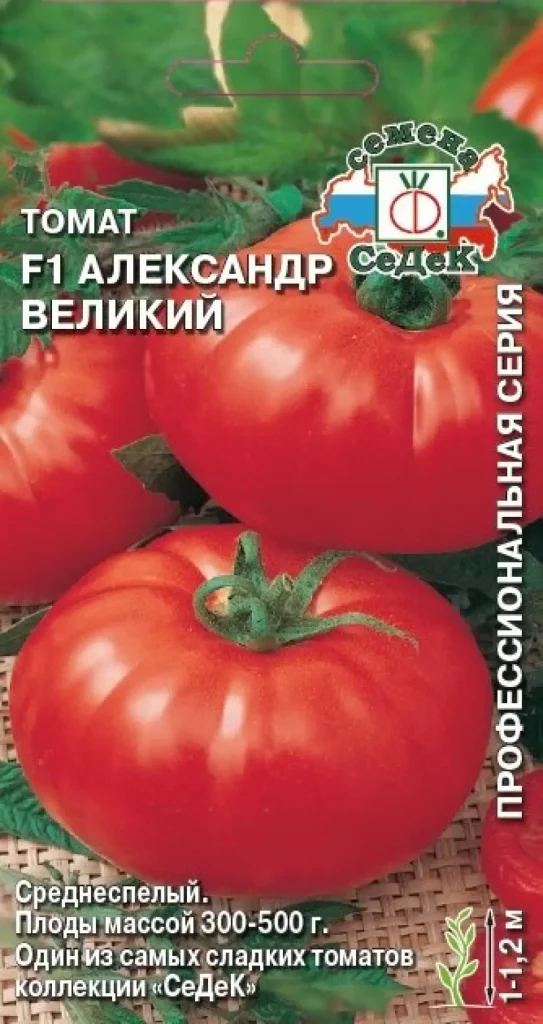 aleksandr-velikiy-1-119720