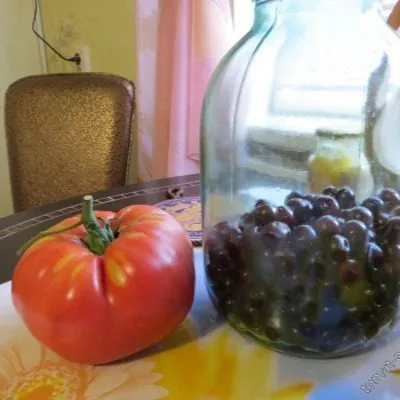 ispolin-malinovyy-2-126800