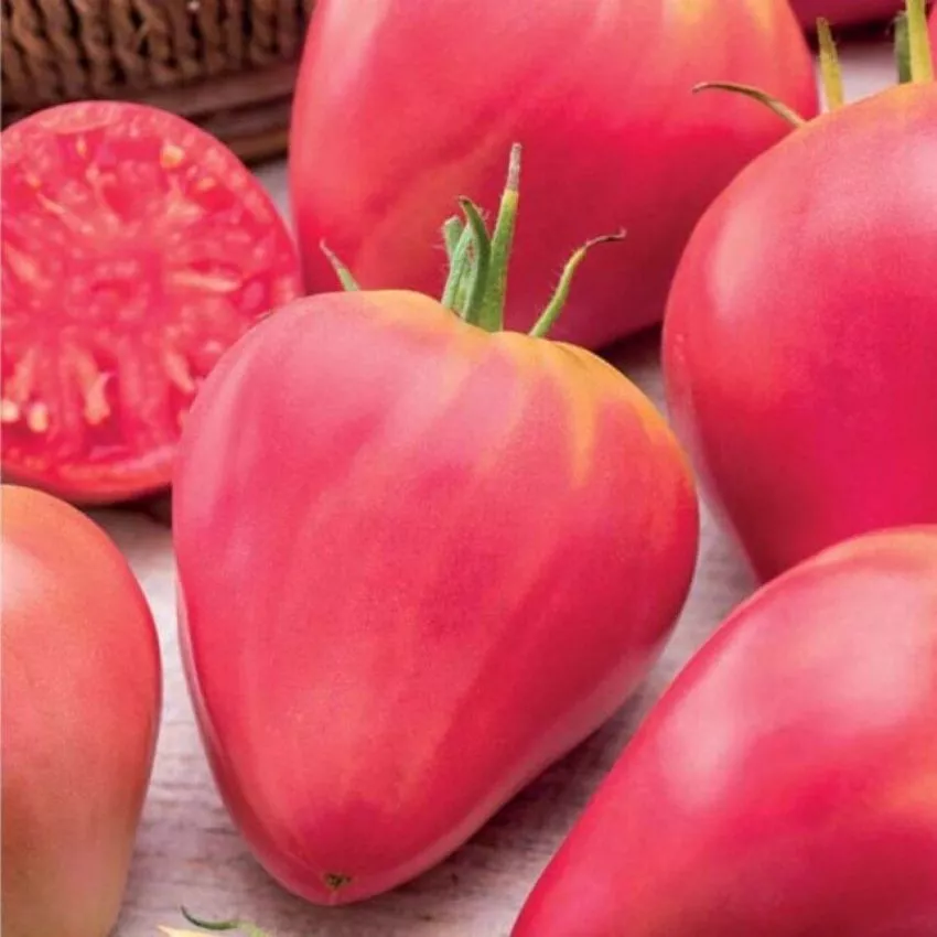 krymskoe-serdtse-4-119634