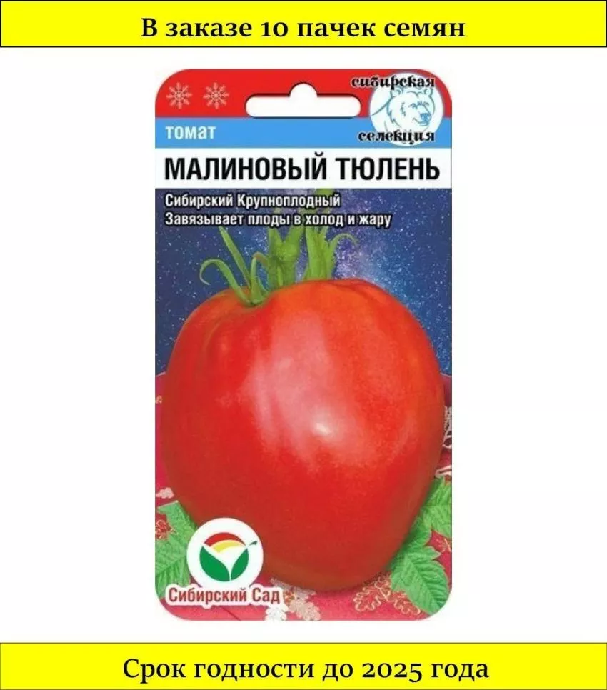 malinovyy-tyulen-1-119600