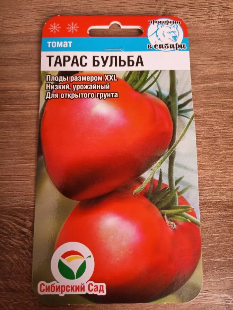 taras-bulba-1-118314