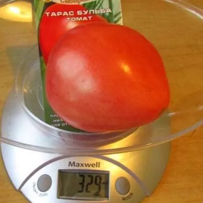 taras-bulba-4-118314