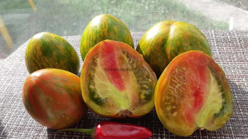 tayna-berte-1-118853