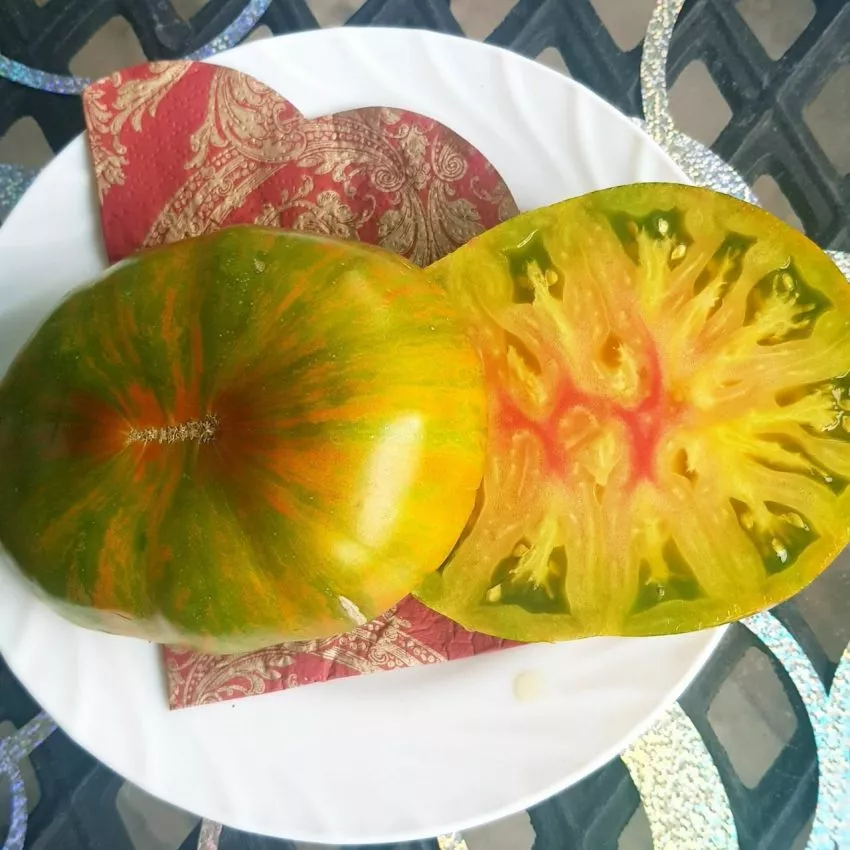 tayna-berte-2-118853