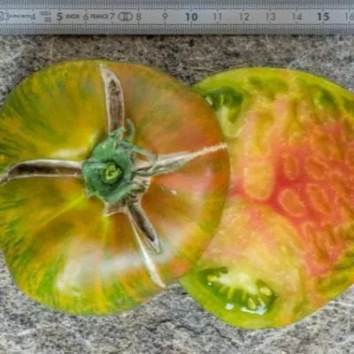 tayna-berte-5-118853